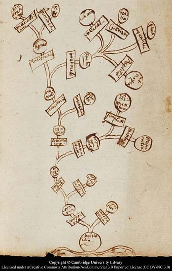 une mind-map d'isaac newton