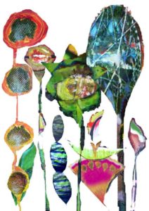 biodiversité illustration par veronique egloff