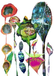 biodiversité illustration par veronique egloff